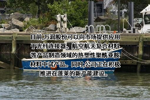 中节能万润股份有限公司