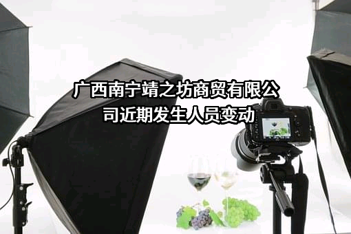 广西南宁靖之坊商贸有限公司