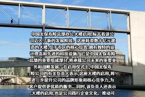 瑞安房地产有限责任公司