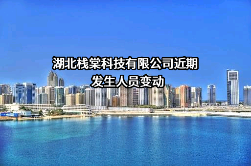 湖北栈棠科技有限公司