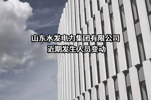 山东水发电力集团有限公司