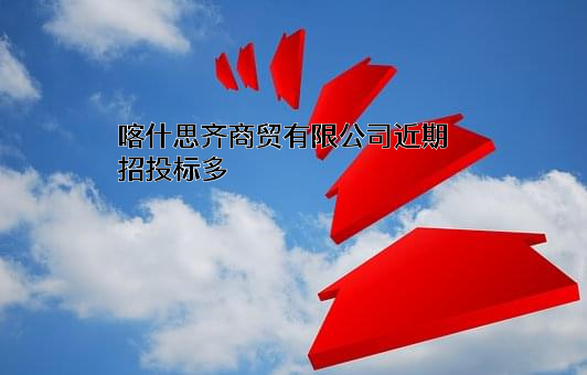 喀什思齐商贸有限公司