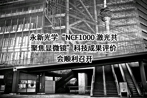 宁波永新光学股份有限公司