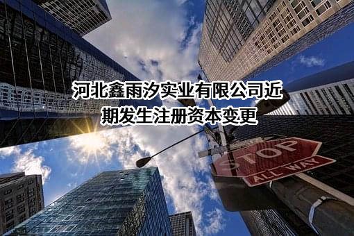 河北鑫雨汐实业有限公司