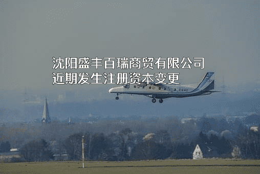沈阳盛丰百瑞商贸有限公司