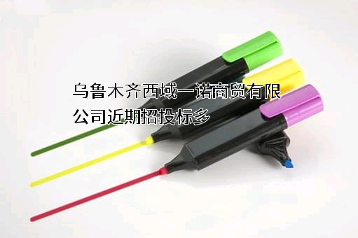 乌鲁木齐西域一诺商贸有限公司
