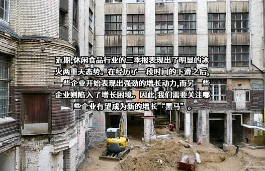 盐津铺子食品股份有限公司