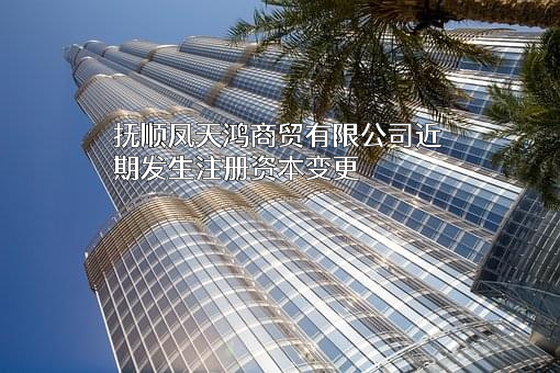 抚顺凤天鸿商贸有限公司