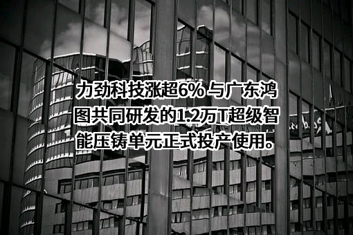 广东鸿图科技股份有限公司