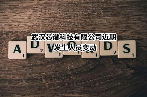 武汉芯谱科技有限公司