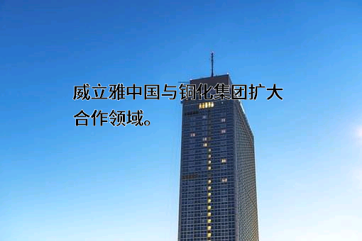 铜陵化学工业集团有限公司