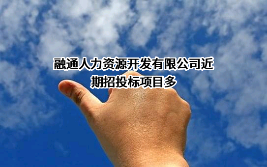 融通人力资源开发有限公司