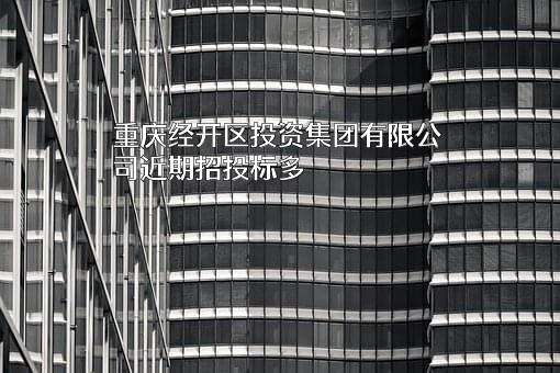 重庆经开区投资集团有限公司
