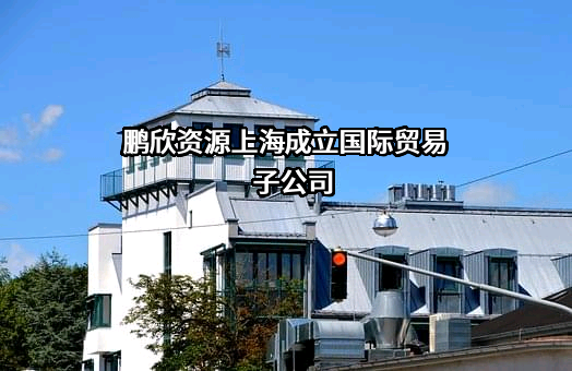 鹏欣环球资源股份有限公司
