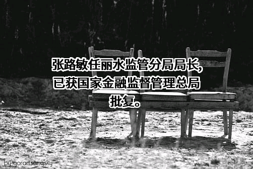 四川恒光保险代理有限公司