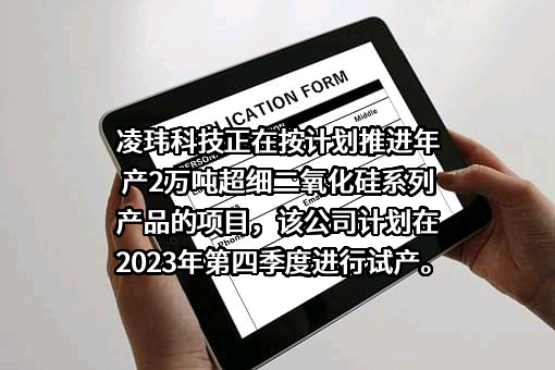 广州凌玮科技股份有限公司