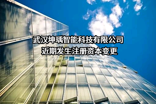 武汉坤瑀智能科技有限公司