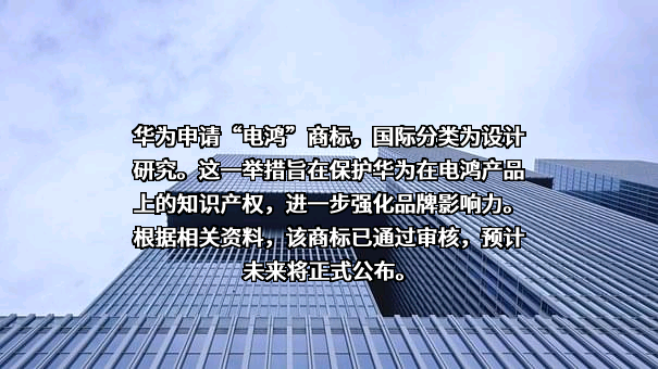华为技术有限公司