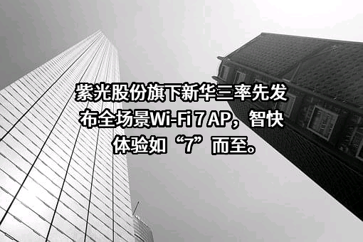 紫光股份有限公司