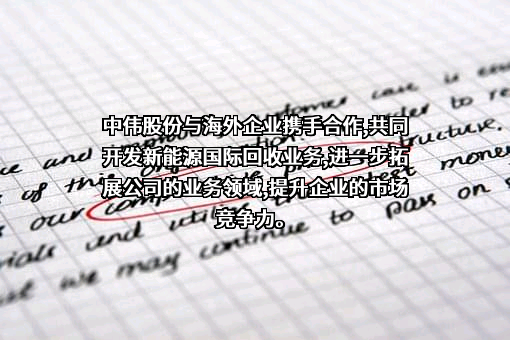 中伟新材料股份有限公司
