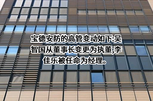 宝德（天津）安防科技有限公司