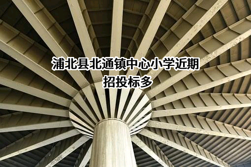 浦北县北通镇中心小学
