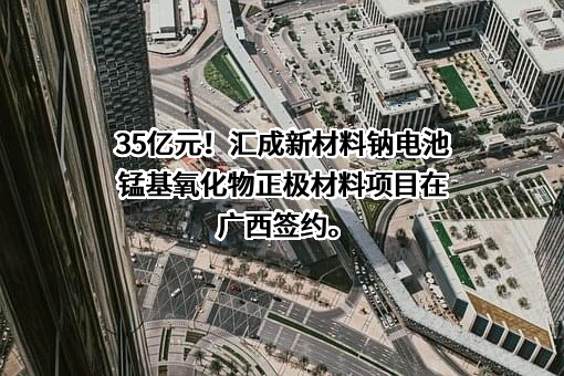 贵州大龙汇成新材料有限公司