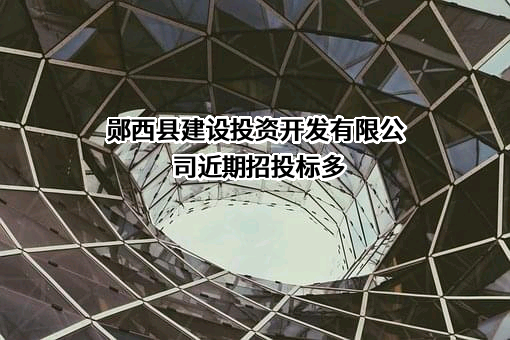 郧西县建设投资开发有限公司