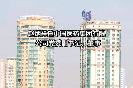 中国医药集团有限公司