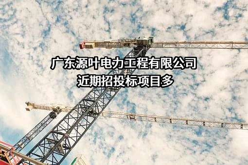 广东源叶电力工程有限公司