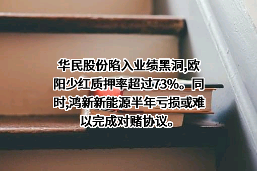 湖南华民控股集团股份有限公司