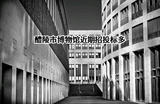 醴陵市博物馆近期招投标项目多