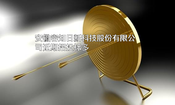 安徽容知日新科技股份有限公司