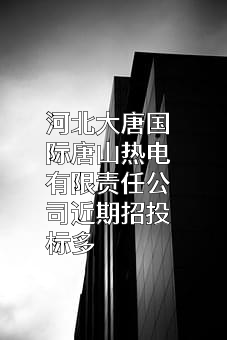 河北大唐国际唐山热电有限责任公司