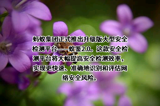 蚂蚁科技集团股份有限公司
