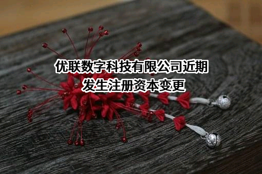 优联数字科技有限公司