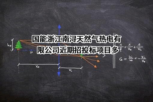 国能浙江南浔天然气热电有限公司