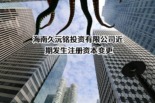 海南久沅铭投资有限公司