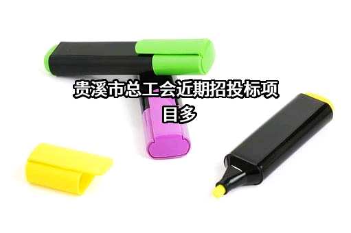 贵溪市总工会