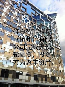 硅真智能科技（杭州）有限公司