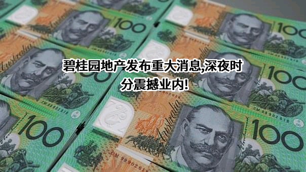 碧桂园控股有限公司
