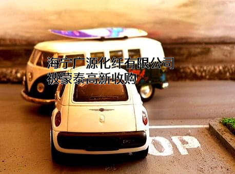 海宁广源化纤有限公司