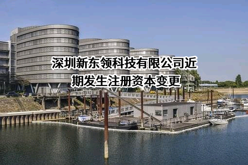 深圳新东领科技有限公司