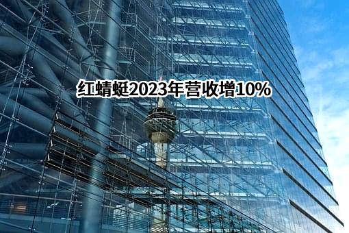 浙江红蜻蜓鞋业股份有限公司