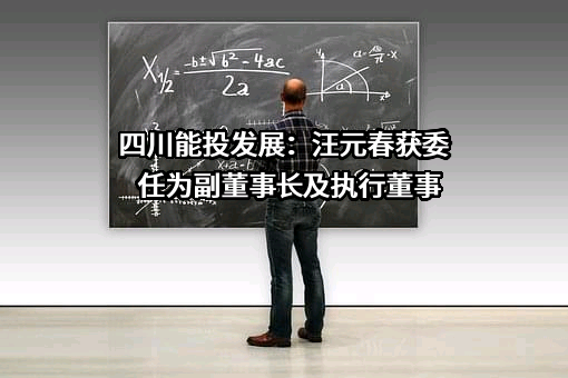 四川能投发展股份有限公司