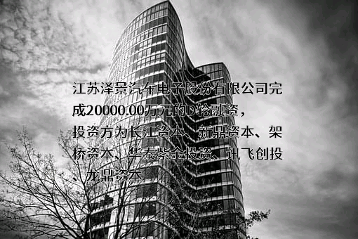 江苏泽景汽车电子股份有限公司