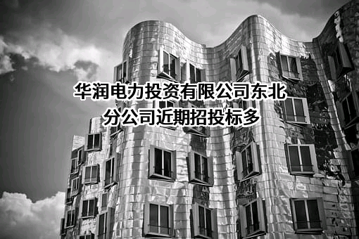 华润电力投资有限公司东北分公司