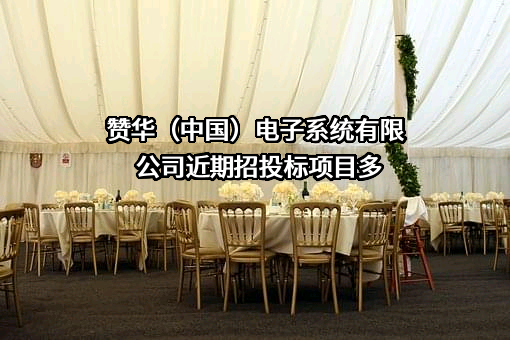 赞华（中国）电子系统有限公司