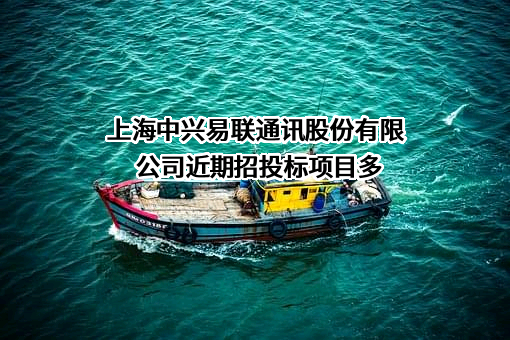 上海中兴易联通讯股份有限公司