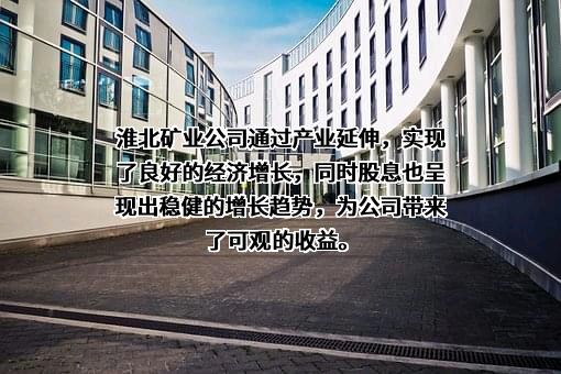 安徽雷鸣科化有限责任公司